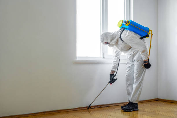 Best Indoor Pest Control  in Ridgway, CO